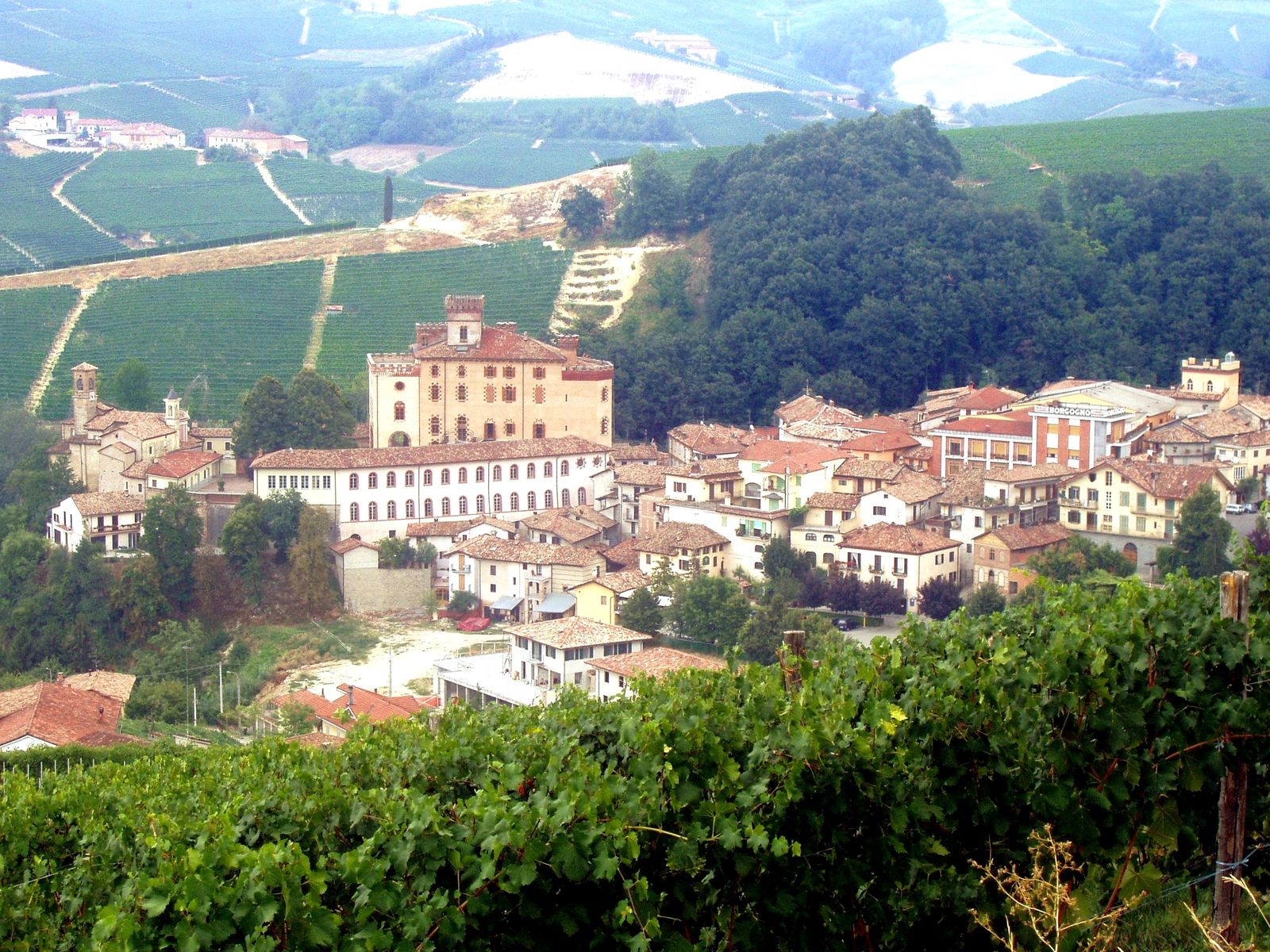 Il borgo di Barolo con il castello Falletti fra le vigne