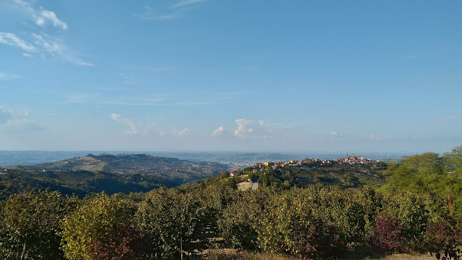 Panorama sulle colline delle Langhe con noccioleti in primo piano, visto da Rodello