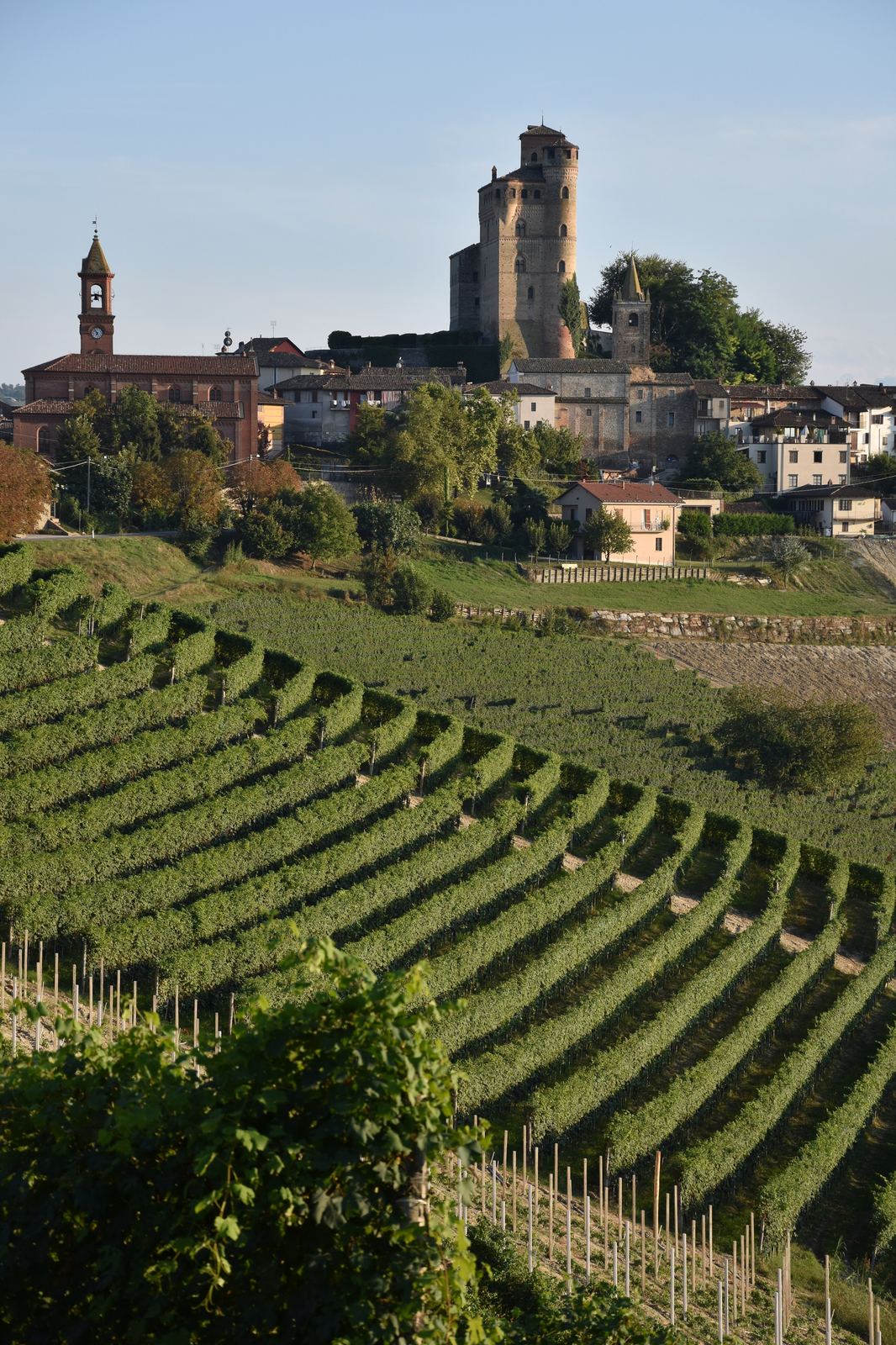 Il borgo di Serralunga d'Alba con il castello trecentesco sopra i filari